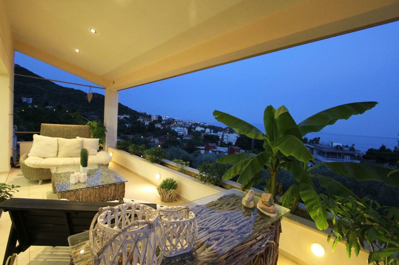 Aerides Luxury Villa PalaiónTsiflíkion 외부 사진